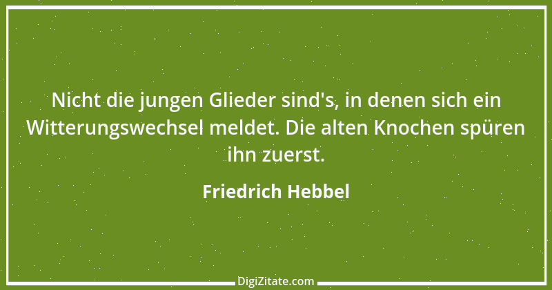 Zitat von Friedrich Hebbel 245