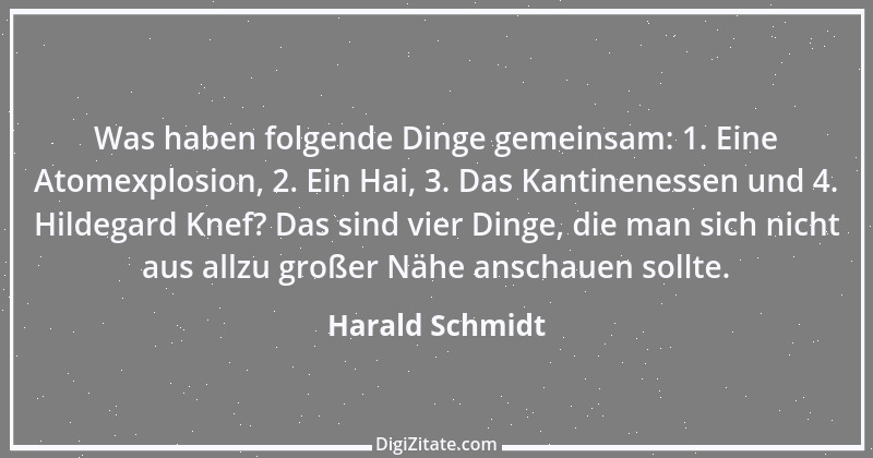 Zitat von Harald Schmidt 208