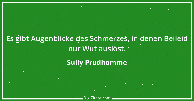 Zitat von Sully Prudhomme 51