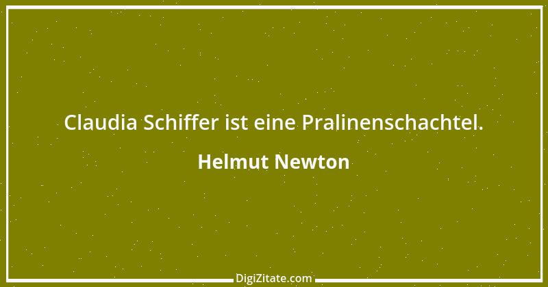 Zitat von Helmut Newton 7