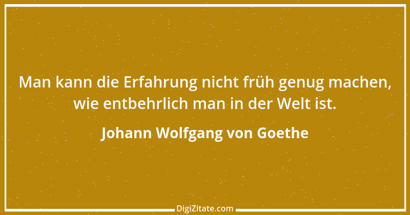 Zitat von Johann Wolfgang von Goethe 2892