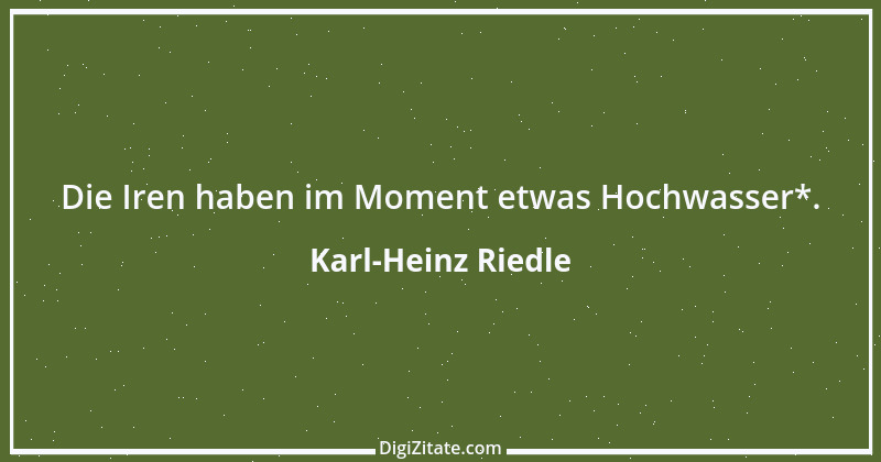 Zitat von Karl-Heinz Riedle 1