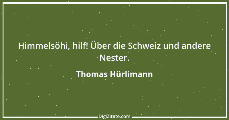 Zitat von Thomas Hürlimann 1