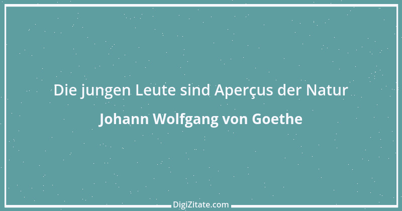 Zitat von Johann Wolfgang von Goethe 2893