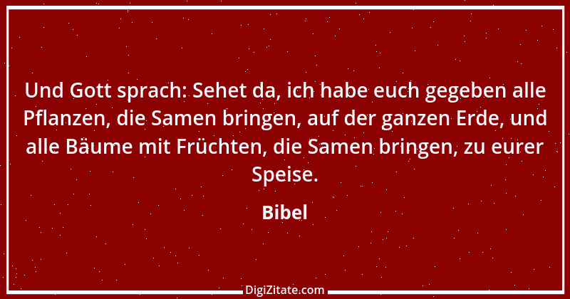 Zitat von Bibel 1929