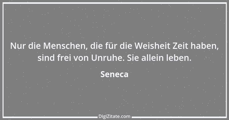 Zitat von Seneca 30