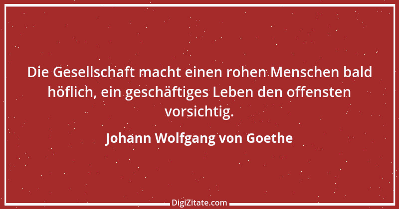 Zitat von Johann Wolfgang von Goethe 895