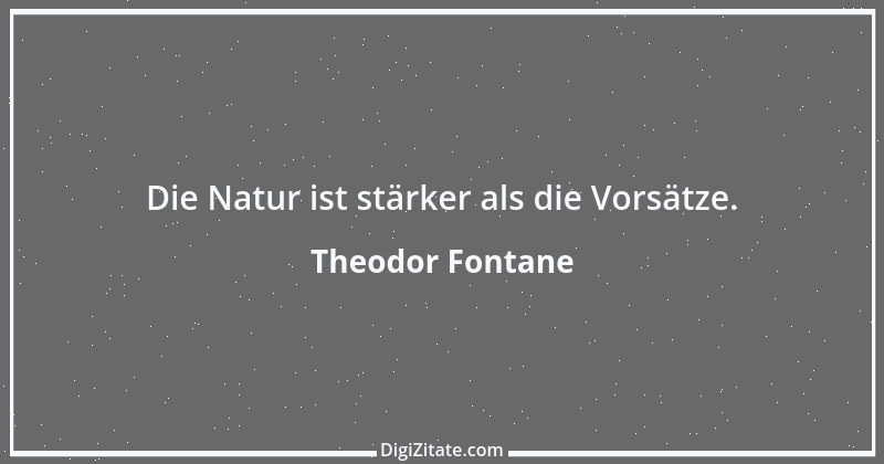 Zitat von Theodor Fontane 157