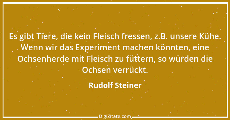 Zitat von Rudolf Steiner 22