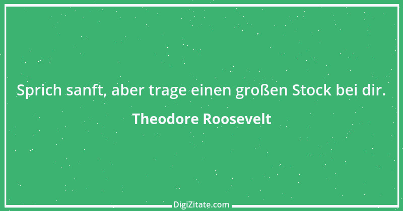 Zitat von Theodore Roosevelt 13