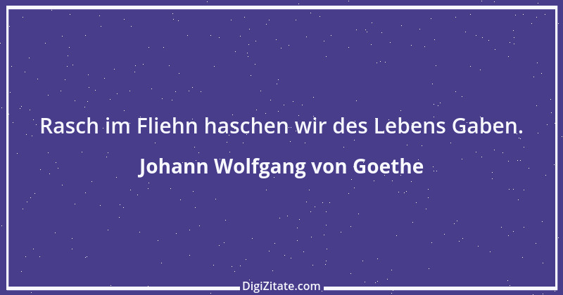 Zitat von Johann Wolfgang von Goethe 3896