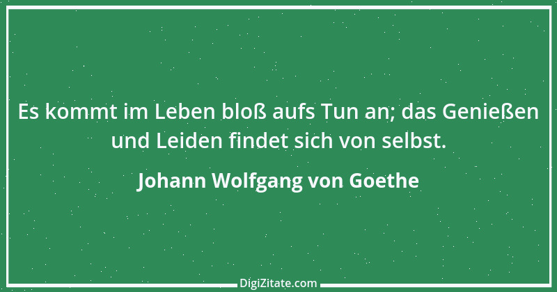 Zitat von Johann Wolfgang von Goethe 896