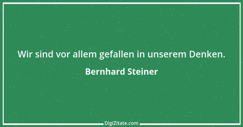 Zitat von Bernhard Steiner 91