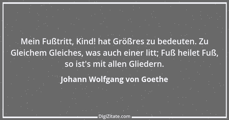 Zitat von Johann Wolfgang von Goethe 897