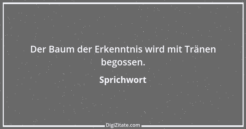 Zitat von Sprichwort 9889