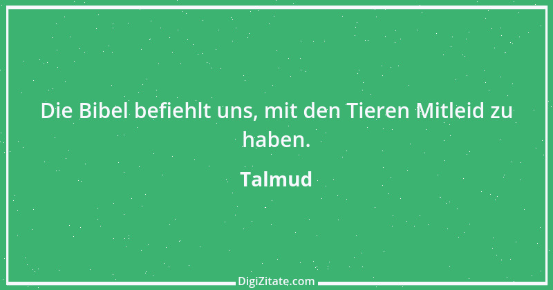 Zitat von Talmud 203