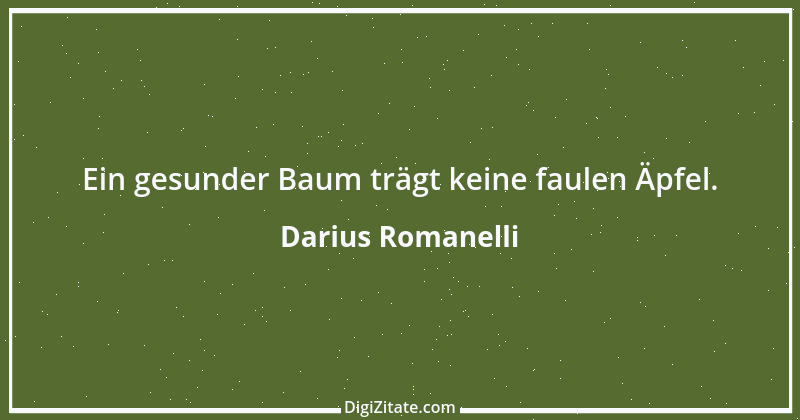 Zitat von Darius Romanelli 26