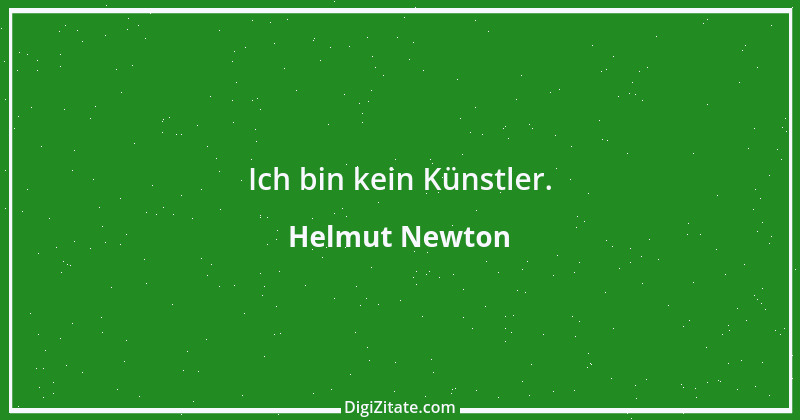 Zitat von Helmut Newton 13