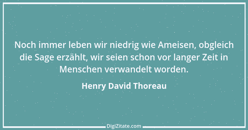 Zitat von Henry David Thoreau 141