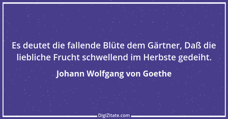 Zitat von Johann Wolfgang von Goethe 898