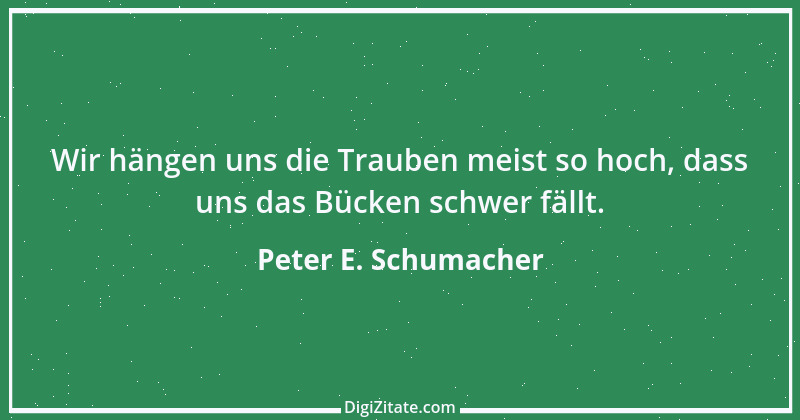 Zitat von Peter E. Schumacher 703