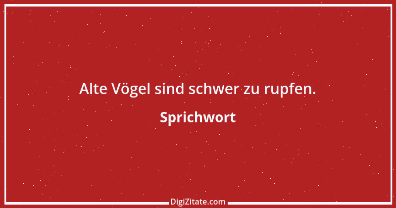 Zitat von Sprichwort 12892