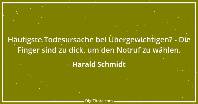 Zitat von Harald Schmidt 219