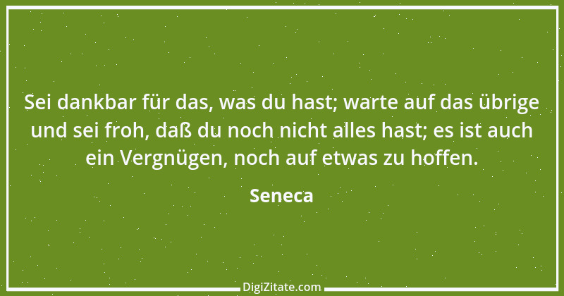 Zitat von Seneca 37