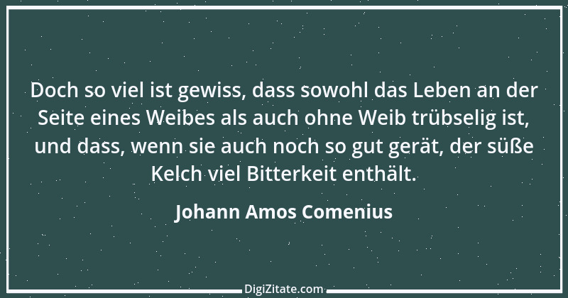 Zitat von Johann Amos Comenius 13