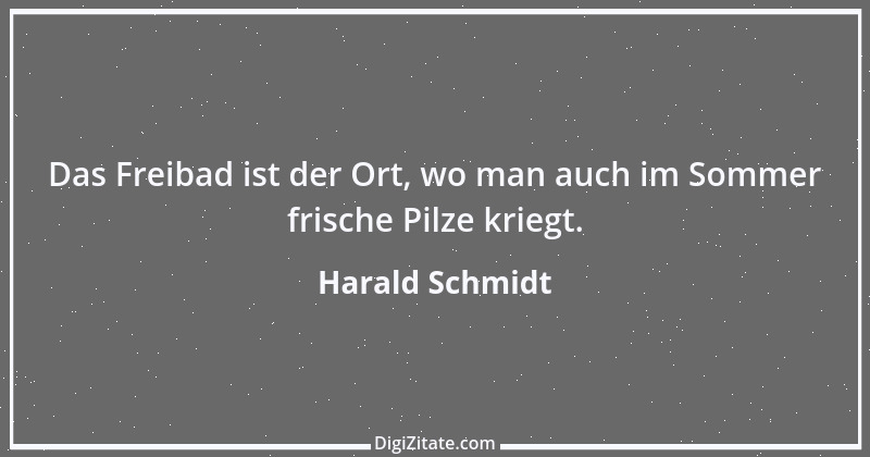 Zitat von Harald Schmidt 222