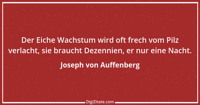 Zitat von Joseph von Auffenberg 19