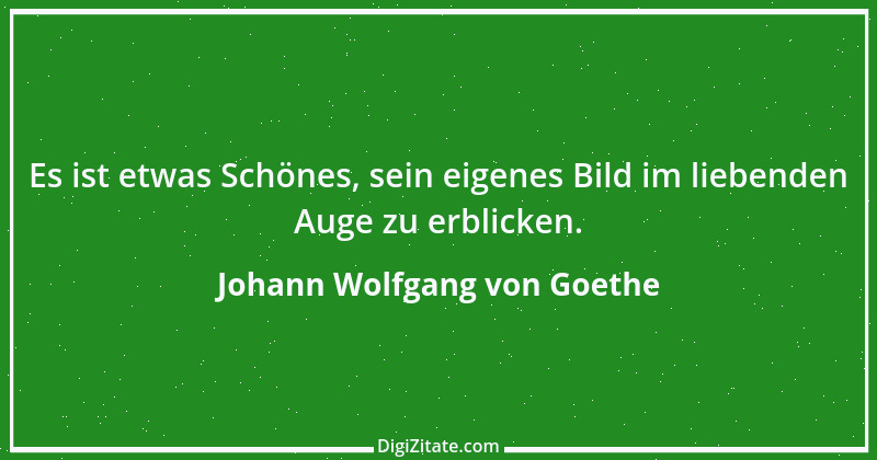 Zitat von Johann Wolfgang von Goethe 1905