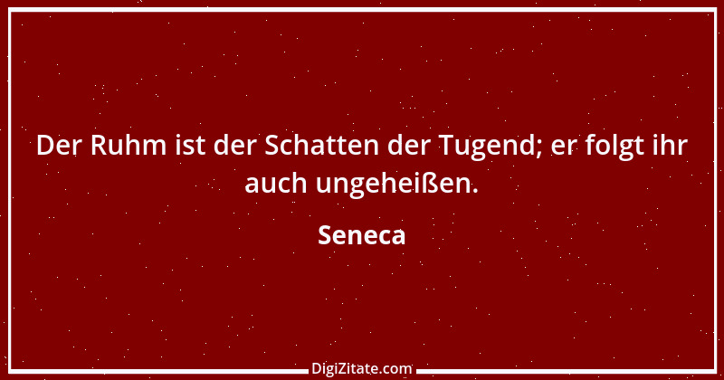 Zitat von Seneca 41