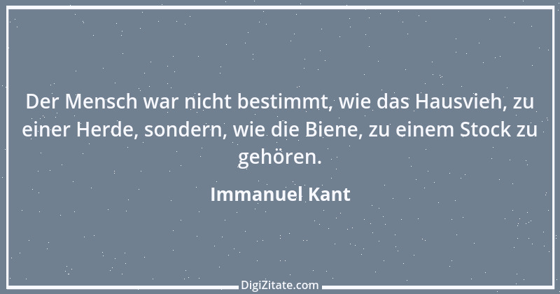 Zitat von Immanuel Kant 235