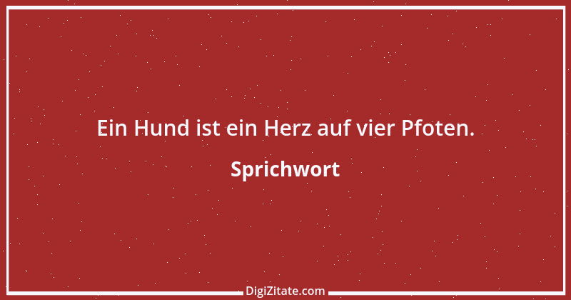 Zitat von Sprichwort 2736