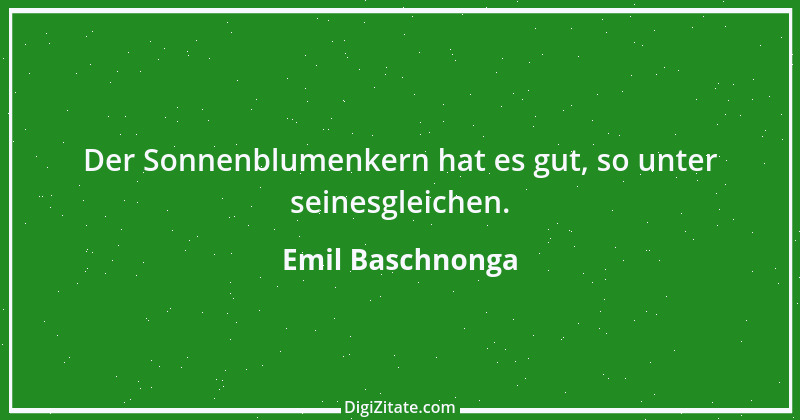 Zitat von Emil Baschnonga 302