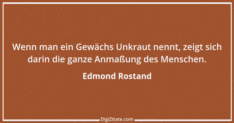 Zitat von Edmond Rostand 2