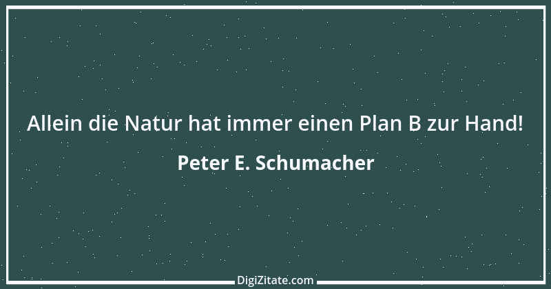 Zitat von Peter E. Schumacher 712