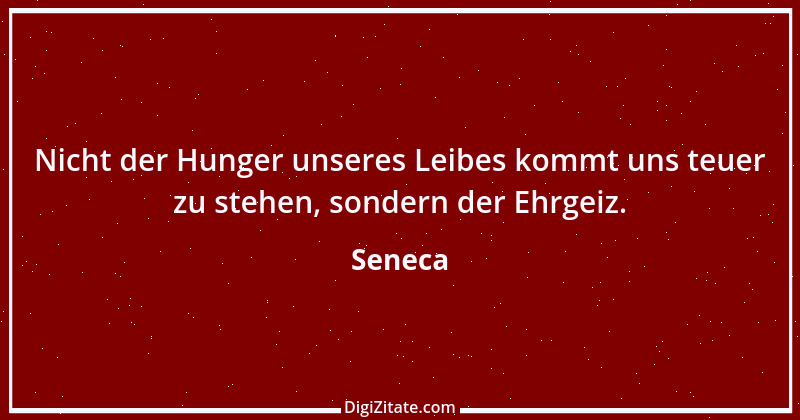 Zitat von Seneca 43