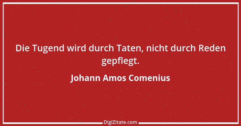 Zitat von Johann Amos Comenius 19