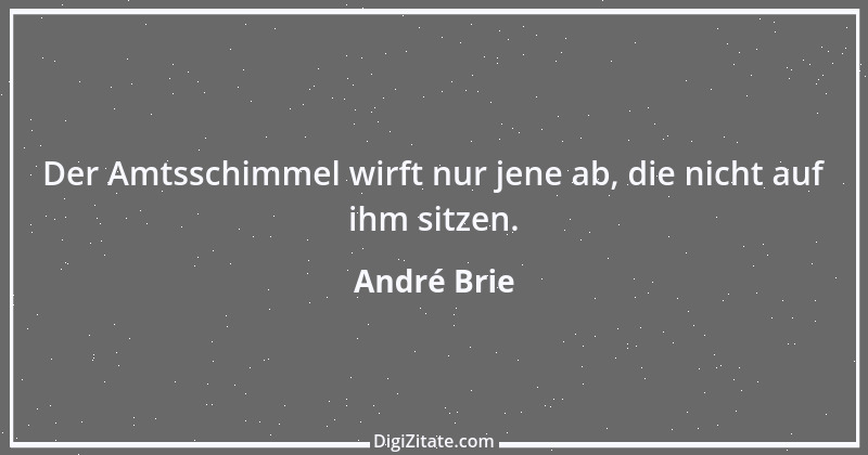 Zitat von André Brie 190