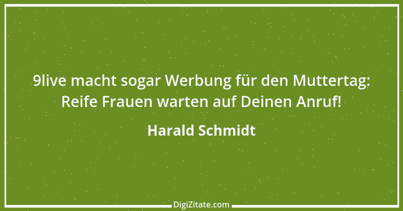 Zitat von Harald Schmidt 228