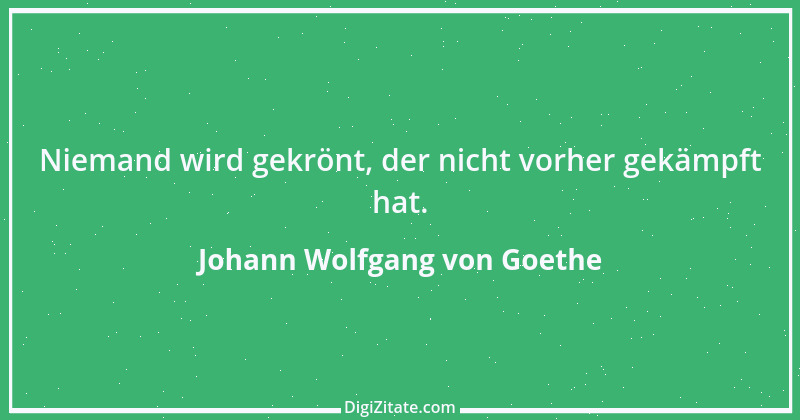 Zitat von Johann Wolfgang von Goethe 2910