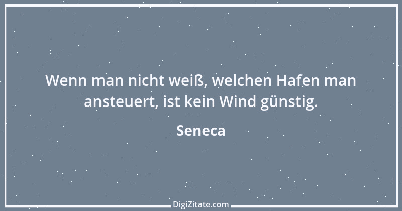 Zitat von Seneca 46