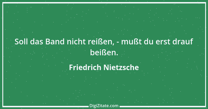 Zitat von Friedrich Nietzsche 848