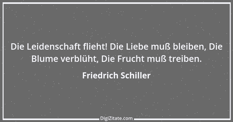 Zitat von Friedrich Schiller 428