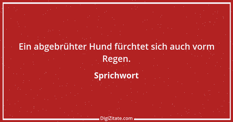 Zitat von Sprichwort 11903