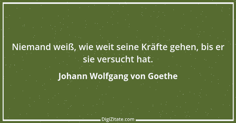 Zitat von Johann Wolfgang von Goethe 912