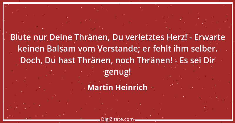 Zitat von Martin Heinrich 63