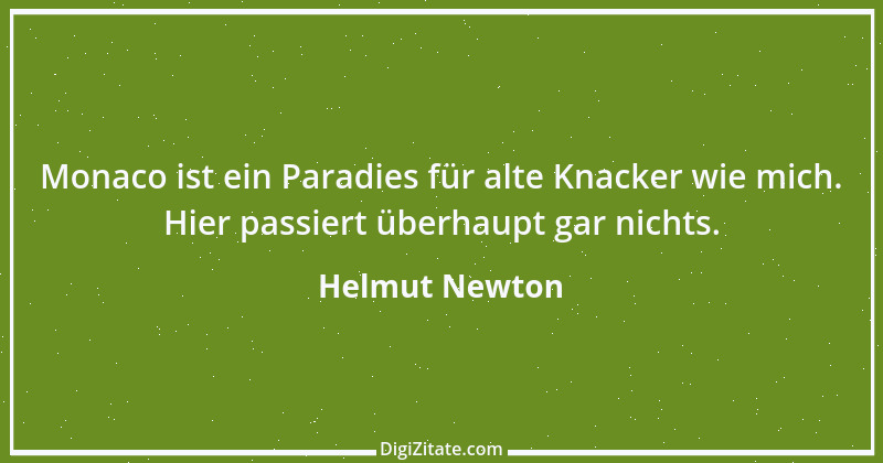 Zitat von Helmut Newton 28